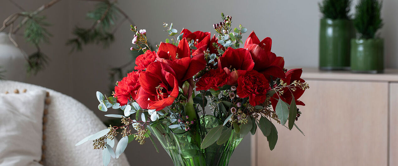 pynt med vakre amaryllis