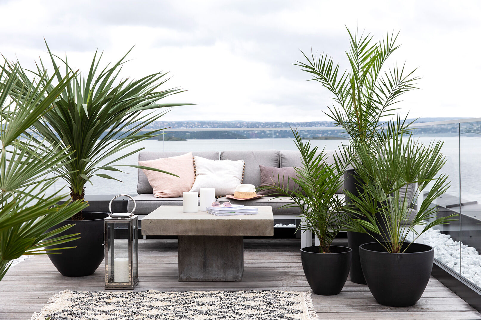 Terrassepalmer i Antwerpen ecopots