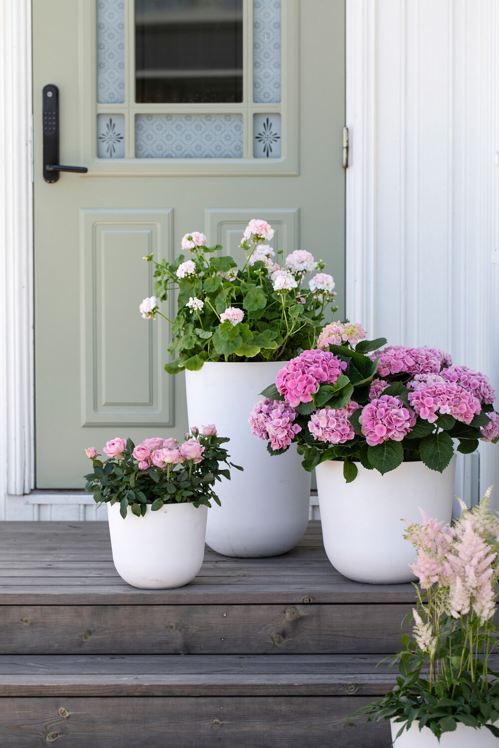Sommerblomster i store utepotter