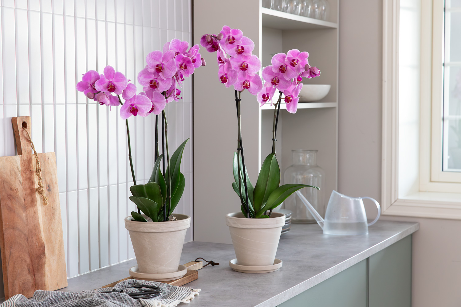 Orkideer