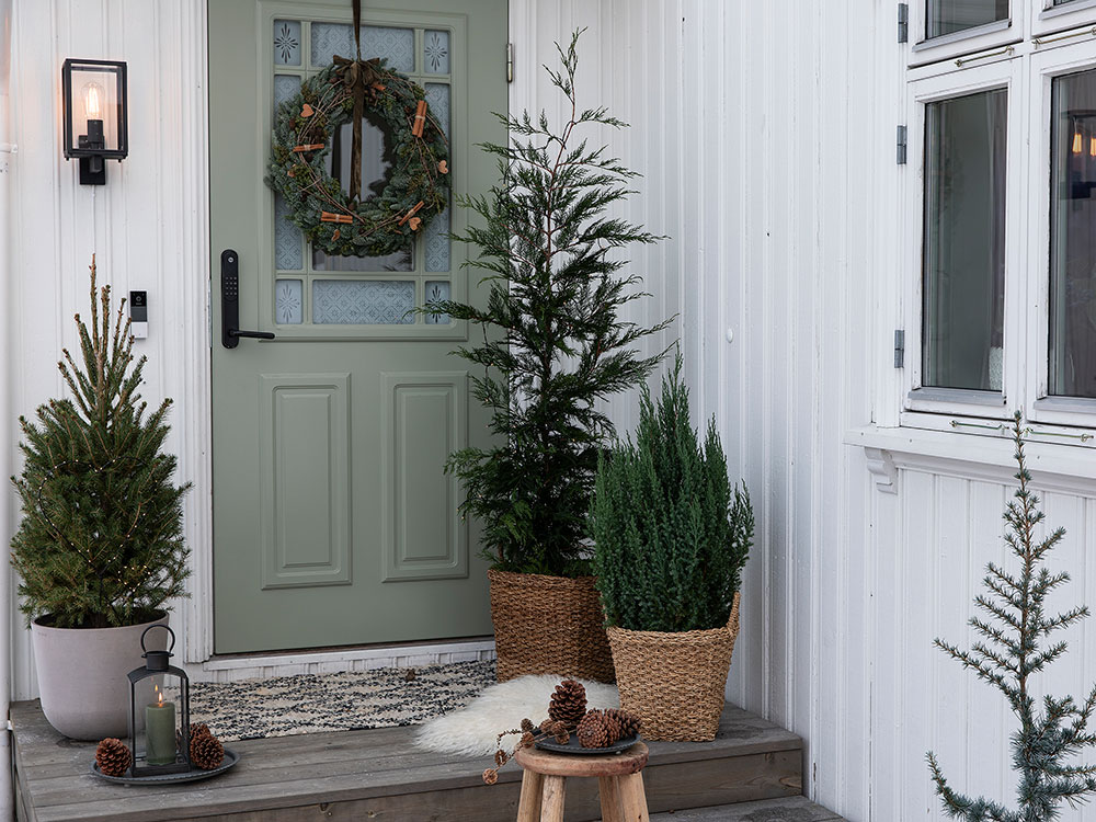 Vintergr&oslash;nne planter