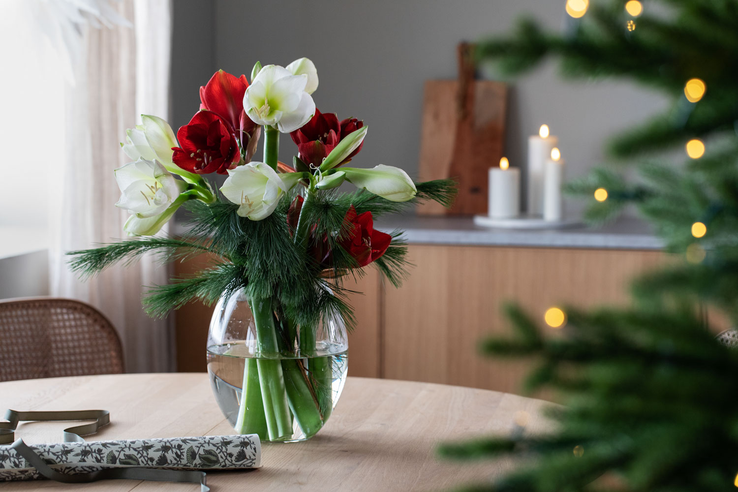Amaryllis i vase