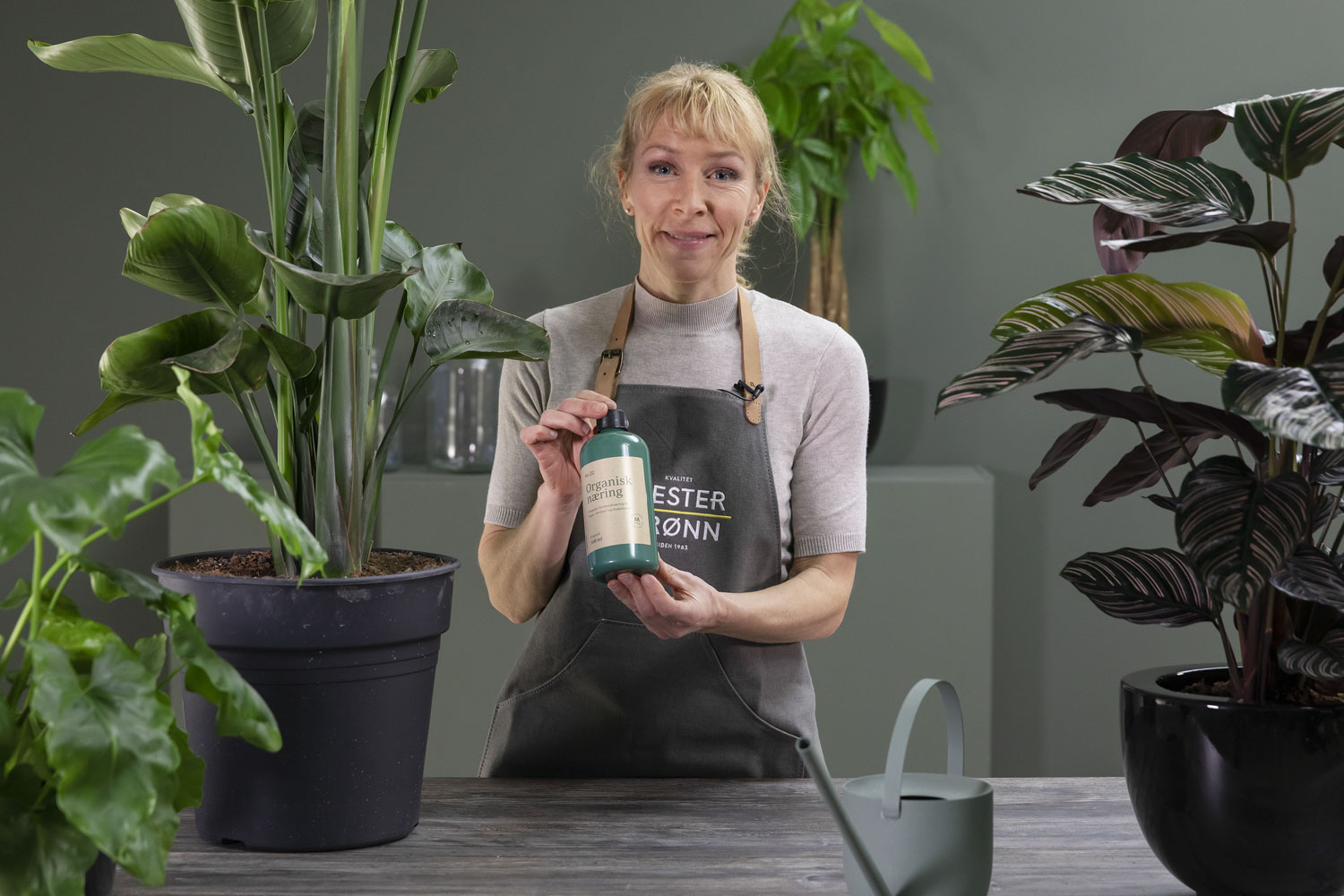 Slik gj&oslash;dsler du gr&oslash;nne planter