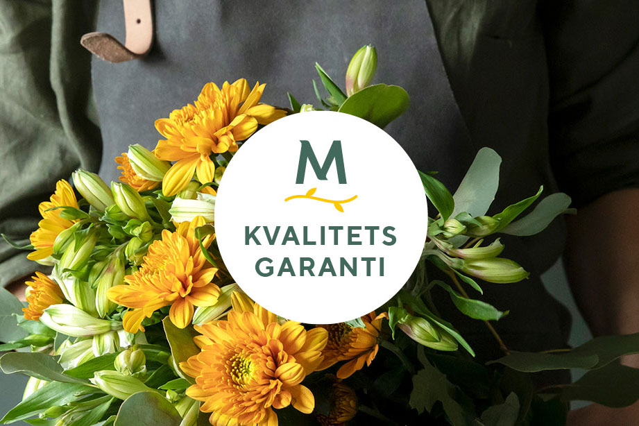 Kvalitetsgaranti