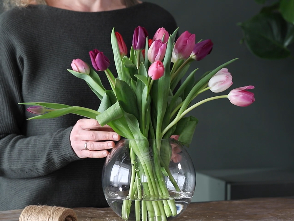 Tulipaner i vase