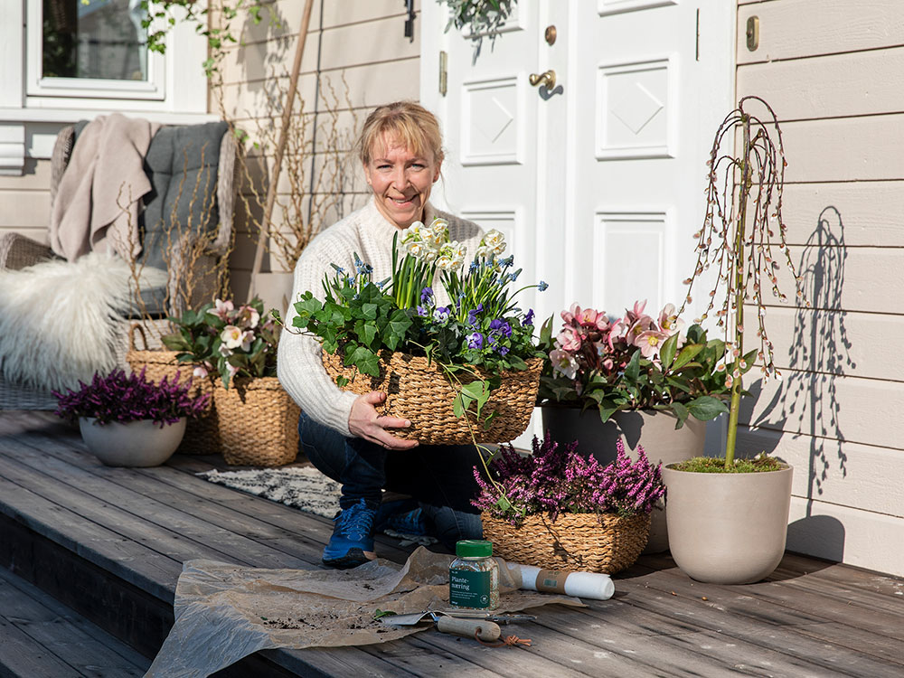 V&aring;rblomster som t&aring;ler noen kuldegrader