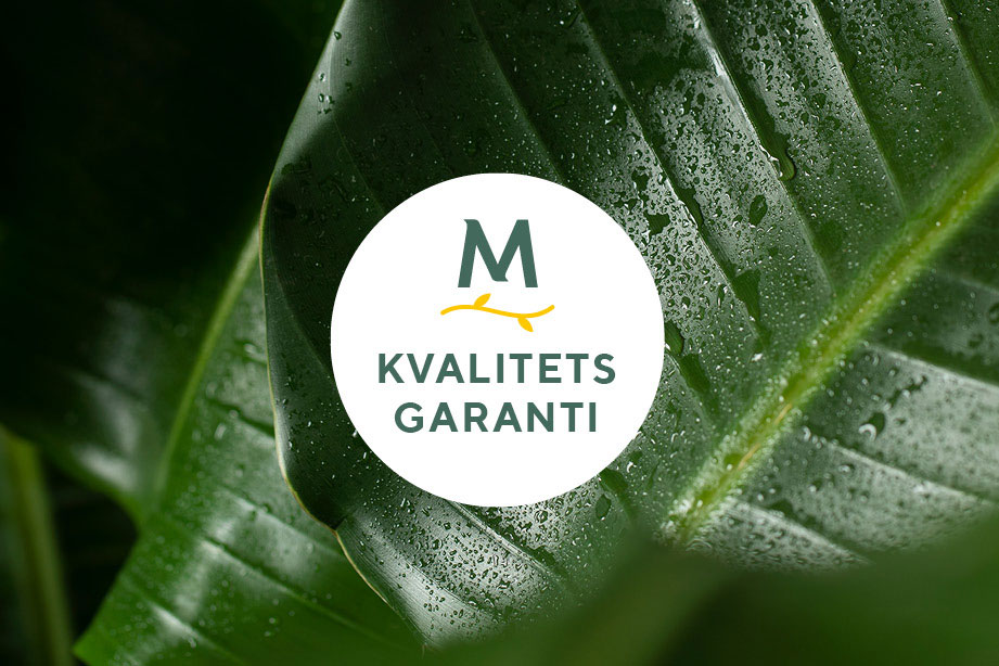 Kvalitetsgaranti gr&oslash;nne planter