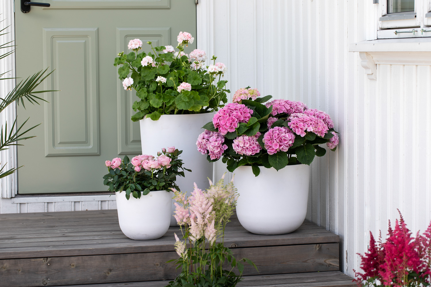 Sommerblomster ved inngangspartiet