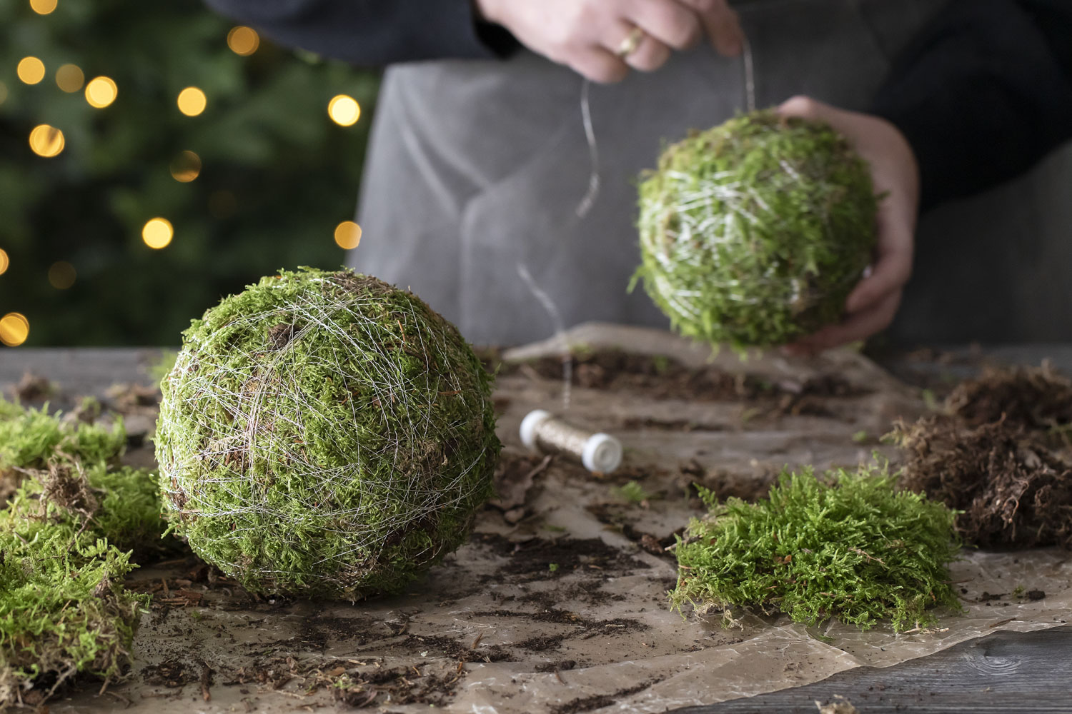 Lage mosekuler