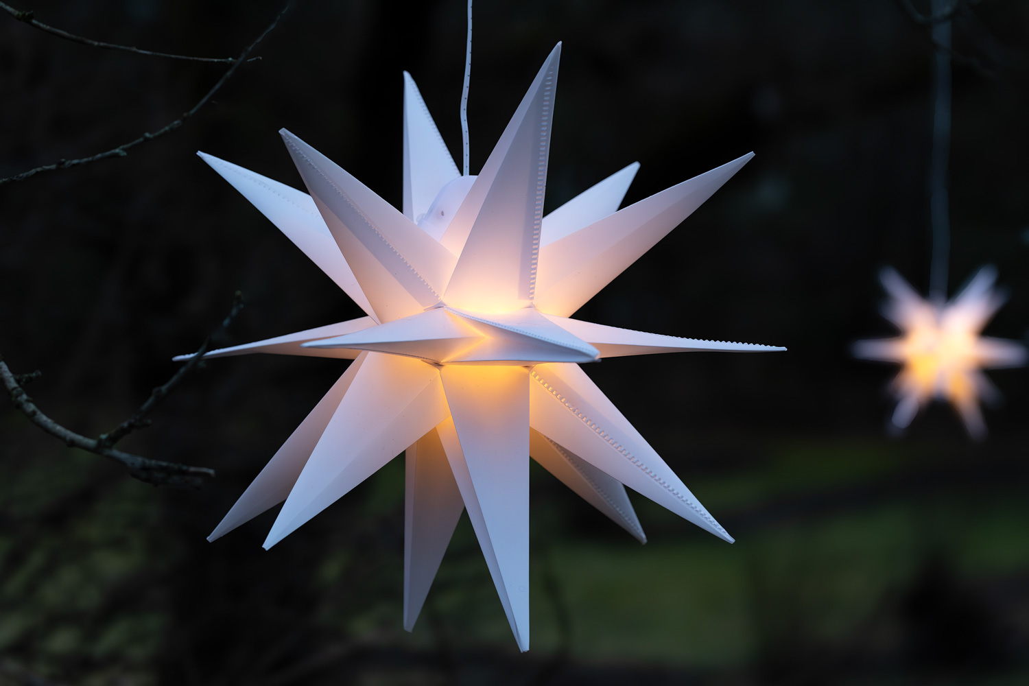 Adventsstjerner