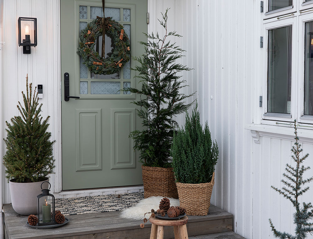 Vintergr&oslash;nne planter ved inngangsd&oslash;ren
