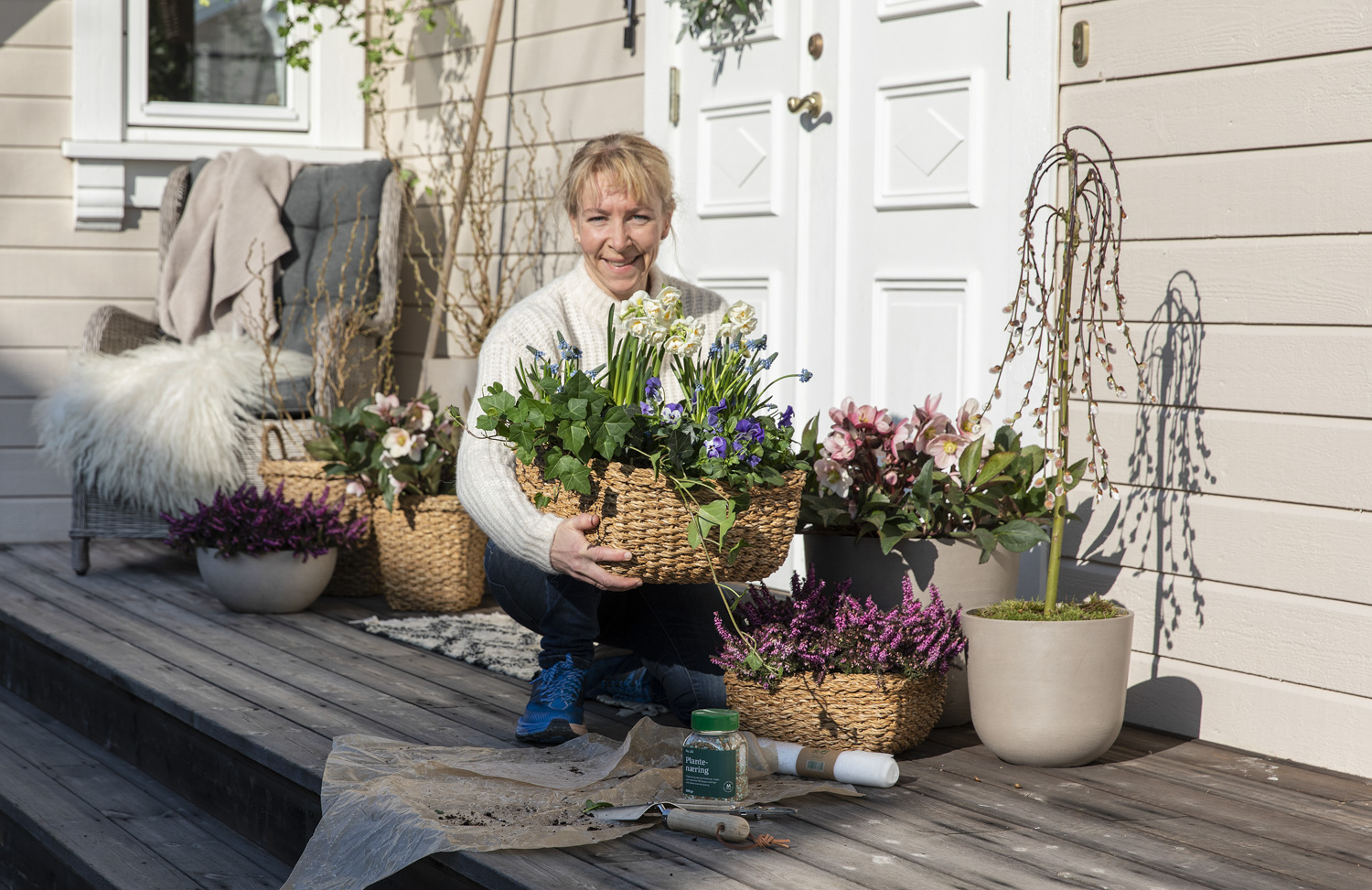 V&aring;rblomster viola