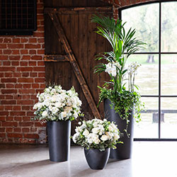 Arrangement