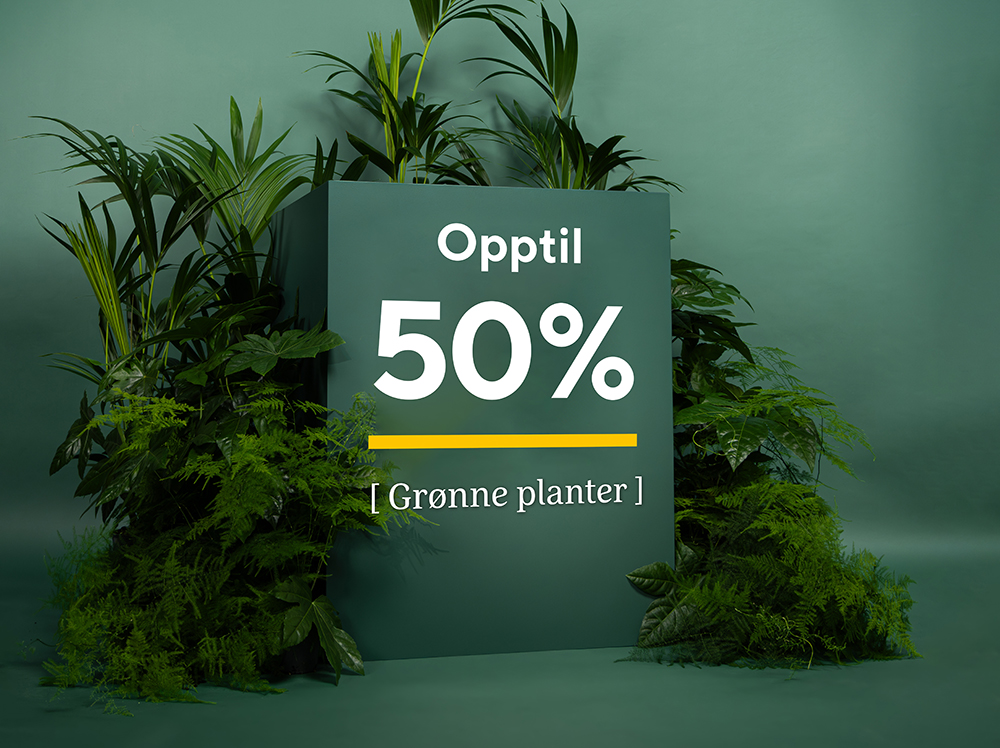 gr&oslash;nne planter p&aring; tilbud