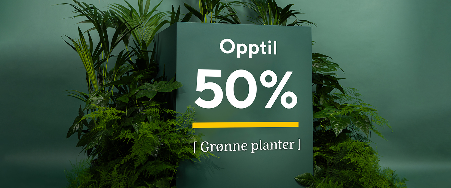 Interi&oslash;r- og blomsterbilde med klikkbare elementer
